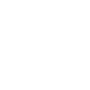 animareva logo witte kleur